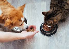 Collection image for: DRY FOOD