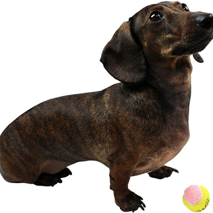 X-Small Dog Tennis Balls 1.5" Pack of 12- Puppy Mini Fetch Pet Little Tennis Balls -Yellow/Pink