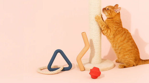 Premium cat toys that will delight your pet