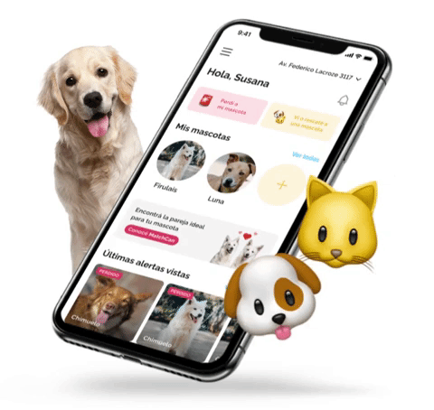Premium pet games