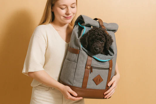 Practical and easy-to-use premium pet backpacks