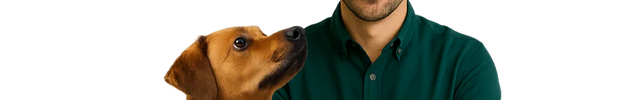 Food, accessories and toys for dogs and cats
