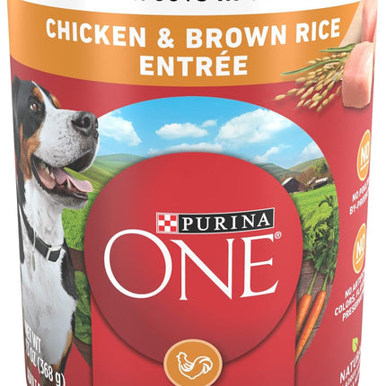 Tender Cuts in Wet Dog Food Gravy Chicken and Brown Rice Entree - (Pack of 12) 13 Oz. Cans