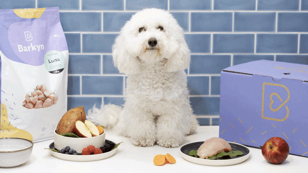Premium pet food